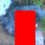【閲覧注意】ゴミ袋の中からバラバラにされた男の死体が発見された映像。
