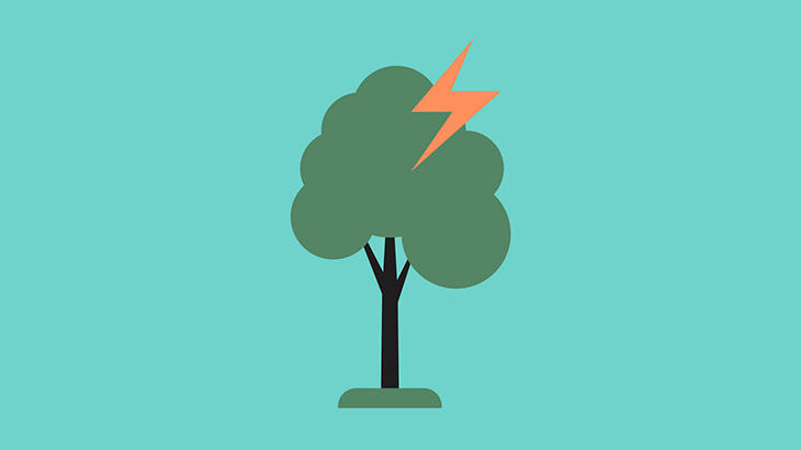 激しいカミナリが発生しているときに”木の下に避難”してはいけない理由･･･（動画）