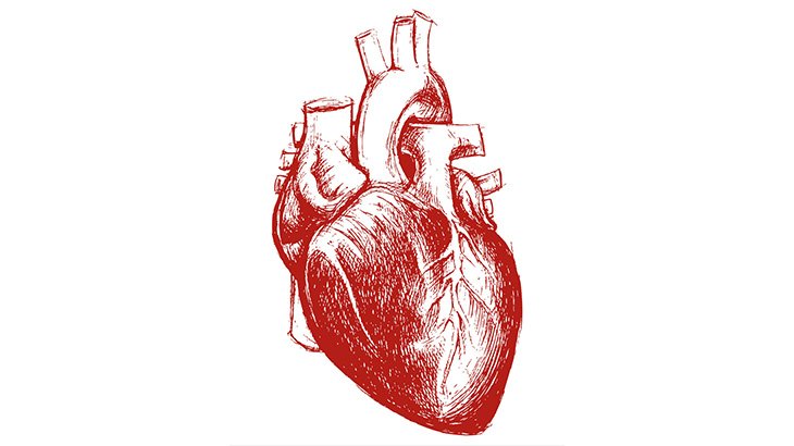 【閲覧注意】事故で男性の身体から飛び出した心臓、まだドクンドクン動いてる･･･（動画）