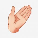 【閲覧注意】切断された人の左手を洗う映像