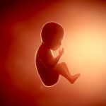 【閲覧注意】女性の死体から “胎児の死体” を取り出す解剖映像