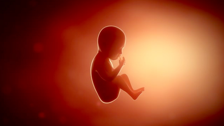 【閲覧注意】女性の死体から “胎児の死体” を取り出す解剖映像