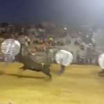 【動画】バブルボールを装着して闘牛に突っ込んだ男、めっちゃ弾き飛ばされる