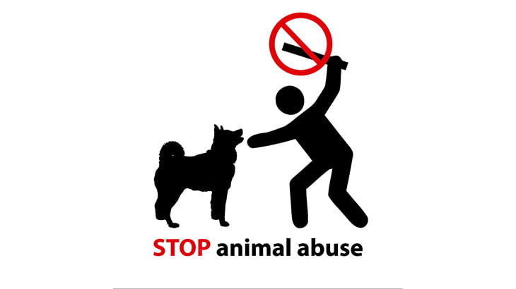 【閲覧注意】縛り付けた犬を刃物で何度も叩き切る男･･･（動画）