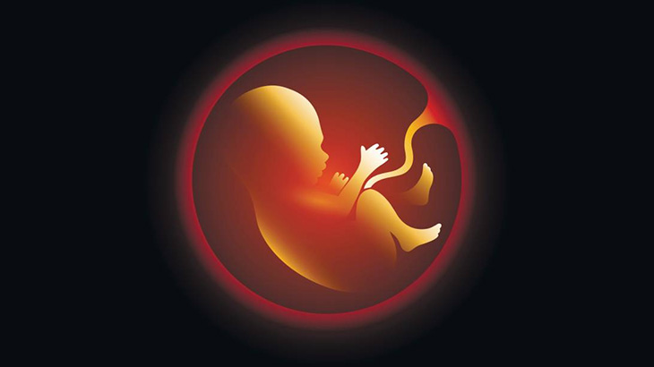 【閲覧注意】死んでしまった赤ちゃんの身体から心臓を取り出す解剖映像