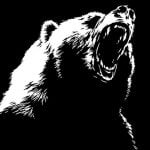 【閲覧注意】クマをスノーモービルで追い払っていた男、顔をえぐられてしまう･･･（動画）