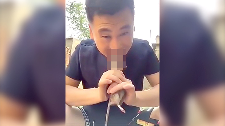 【微閲覧注意】死んだネズミの頭を噛みちぎって生のまま食べてしまう男（動画）