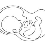 【閲覧注意】死んだ胎児の胸を切り開く → 内臓をまるごと引っこ抜く（動画）