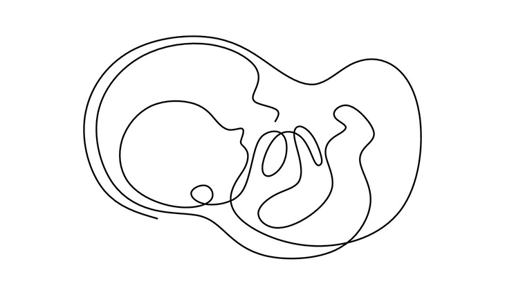 【閲覧注意】死ん?胎児の胸を切り開く → 内臓をまるごと引っこ抜く（動画）