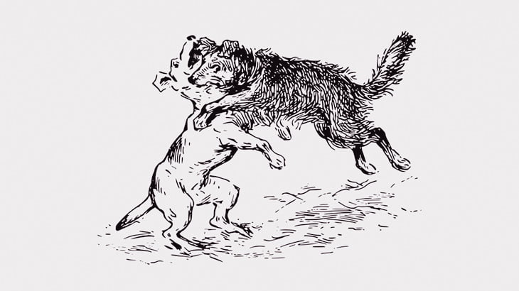 【閲覧注意】犬同士の喧嘩を止めずにいるとこうなる･･･（動画）