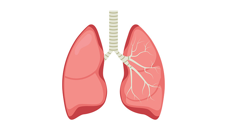 コロナウイルス感染者の肺、ヤバいことになってた･･･（動画）
