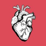 【閲覧注意】人の体から取り出した心臓、装置に取り付ければ動かし続けることができるらしい（動画）