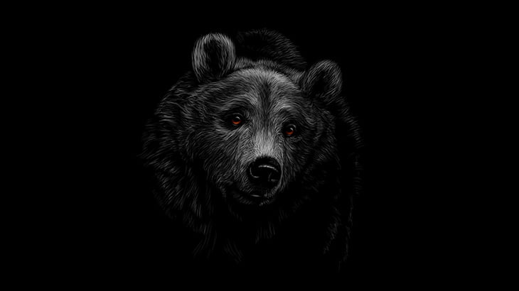 【閲覧注意】ツキノワグマに顔を破壊されて生き延びた男、皮膚移植でこんな顔に･･･