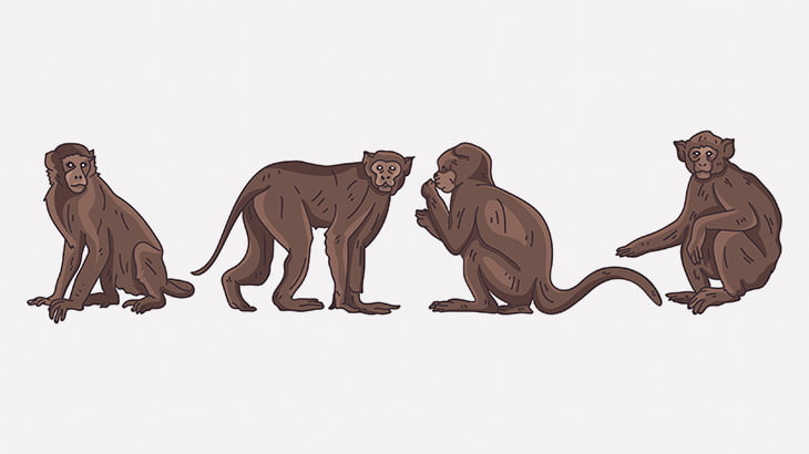 車のサイドミラーに座ったお猿さん、オナニーしてイッてしまう（動画）