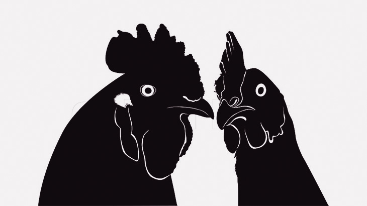 泥棒の男、罰として「ニワトリを生のまま食べる刑」に処されてしまう（動画）