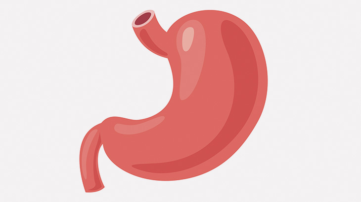 【閲覧注意】摘出した胃袋の中から大量のアレが･･･（動画）