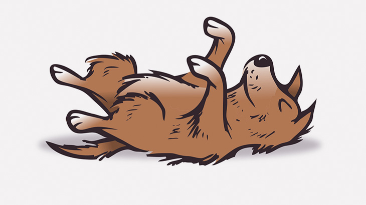 道を歩いていた男、野良犬の?を蹴って殺してしまう･･･（動画）