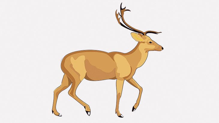 トラックに轢かれたシカさん、めちゃめちゃ弾き飛ばされる（動画）