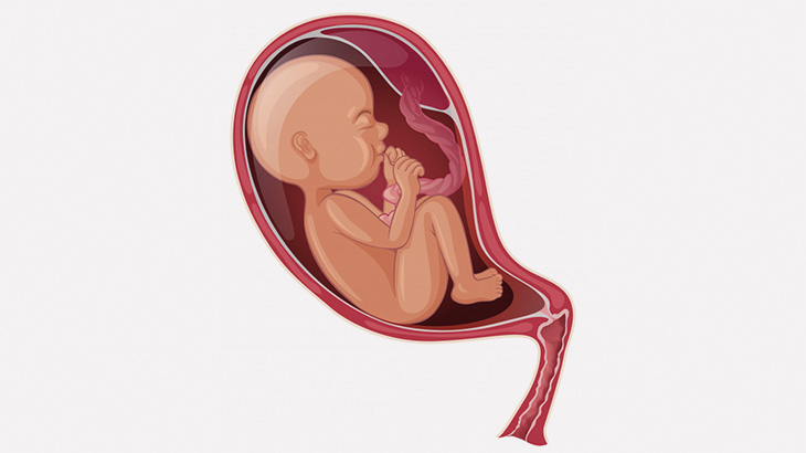 羊膜に包まれた状態で産まれてきた赤ちゃん（動画）