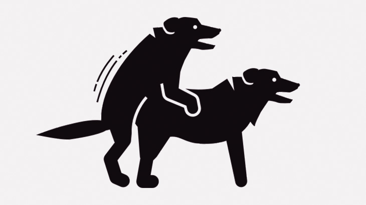 狩猟犬、死んだオオカミとセックスしてしまう（動画）