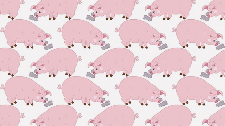 尋常ではない数の豚が穴に落とされる → たぶんこのあと燃やされて殺される･･･（動画）