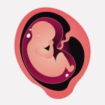 【閲覧注意】妊婦の女性、羊膜に包まれた胎児を流産してしまう･･･（動画）