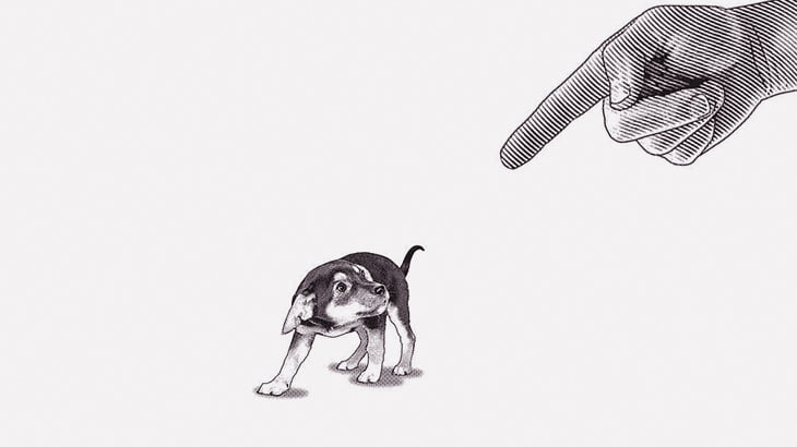 【閲覧注意】子犬たちを殺して遊ぶ男たち（動画）