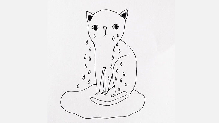 【閲覧注意】イカれた男、猫のマンコに棒をズボズボしてしまう（動画）