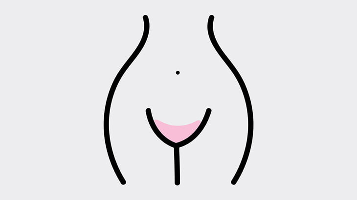 特殊な装置で吸い上げられたマンコ、貝みたいになってしまう（動画）