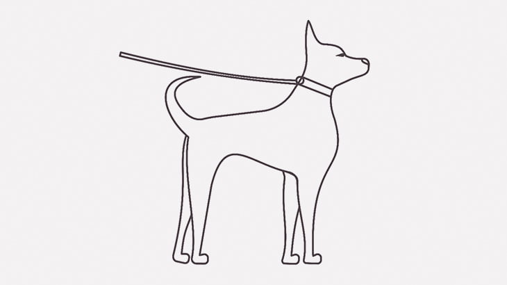 【閲覧注意】犬を棒で叩き殺す父親とアシストする息子（動画）