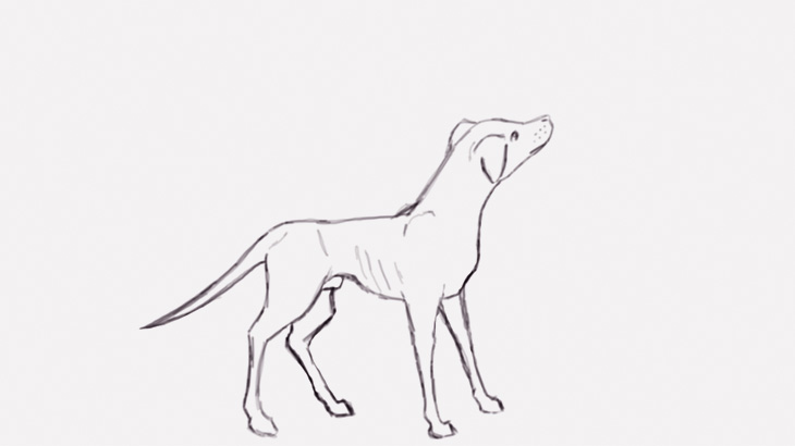 【閲覧注意】犬の?を瓶で殴って殺す男（動画）