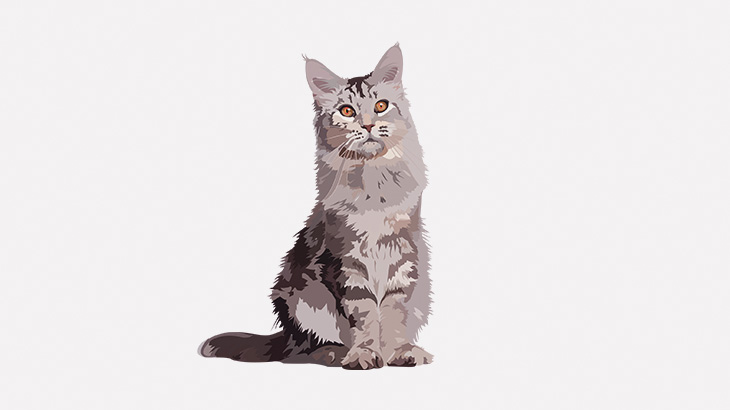 【閲覧注意】森の中で猫を虐待して楽しむ男（動画）