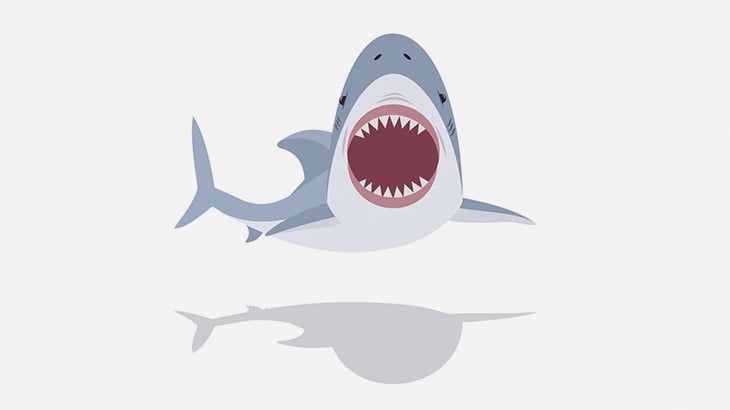 【閲覧注意】サメに襲われた男、身体の肉を食われてしまう（動画）