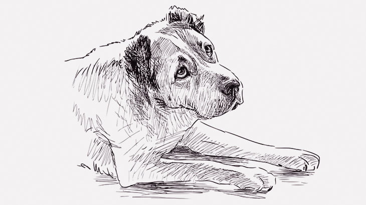 【閲覧注意】犬の頭を棒で叩いて殺す男（動画）