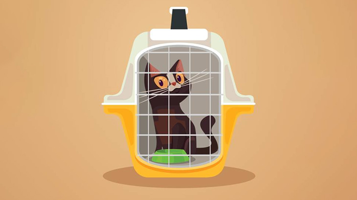 【閲覧注意】イカれたマンさん、小さなかごにいれた子猫に火をつけてしまう（動画）