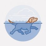 【閲覧注意】人間の死体だらけの川で水浴びする犬（動画）