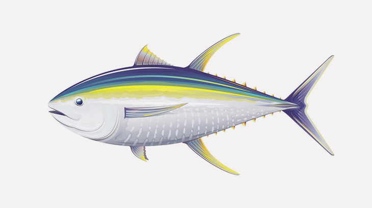 釣り上げられたマグロさん、ビチビチしてる間に心臓が飛び出てしまう（動画）