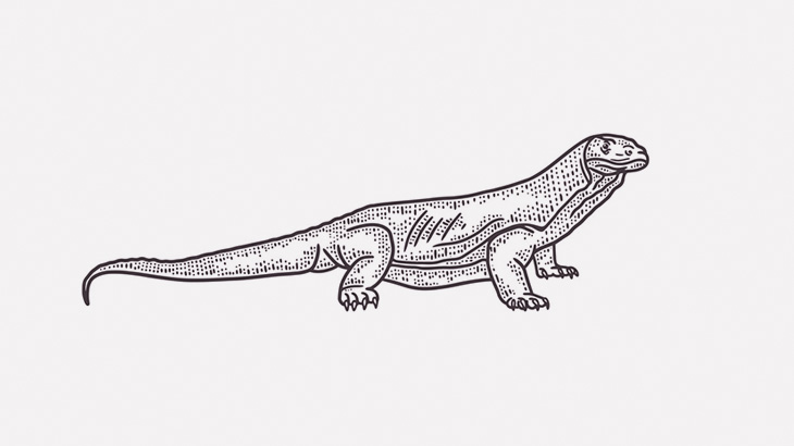 セブンイレブンにオオトカゲが侵入（動画）