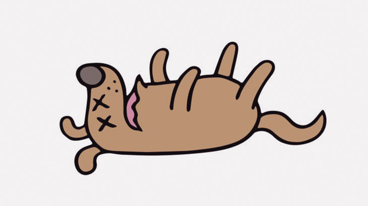 【閲覧注意】切り開かれた胸から動く心臓がむき出しにされた犬（動画）