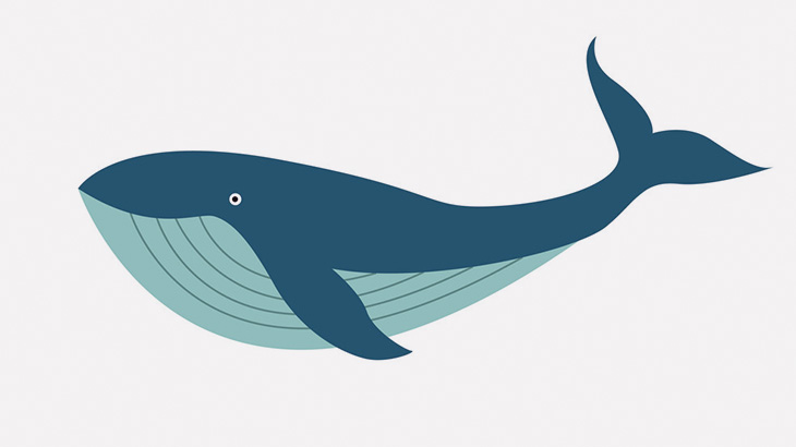 【微閲覧注意】クジラの死体、爆発（動画）