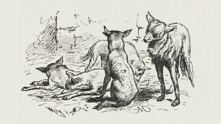 【閲覧注意】インドの野良犬、人間を食べてしまう･･･（動画）