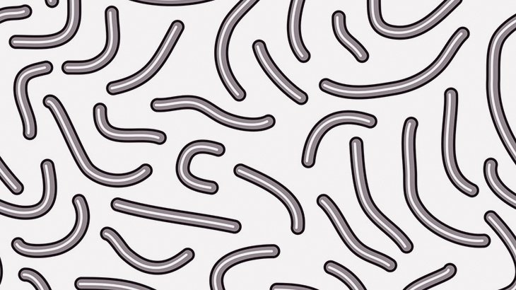 【閲覧注意】人間の腸内から大量の寄生虫を摘出･･･（動画）