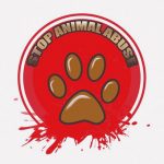 【閲覧注意】クソガキたち、生まれたばかりの子猫の頭を引きちぎってしまう･･･（動画）