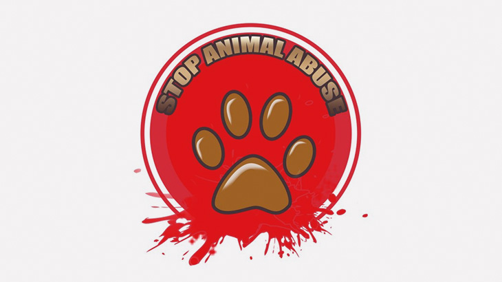 【閲覧注意】クソガキたち、生まれたばかりの子猫の頭を引きちぎってしまう･･･（動画）