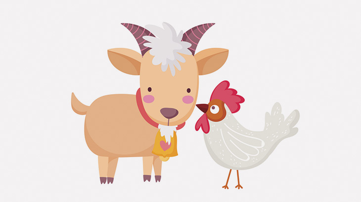 家畜のヤギ、鷹に襲われたニワトリを救出（動画）