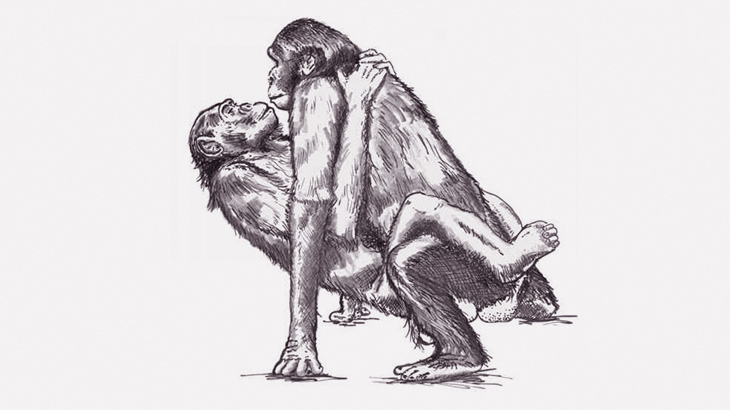 動物園の雄ゴリラさん、子供たちが見ている前で雌ゴリラにフェラチオさせてしまう（動画）