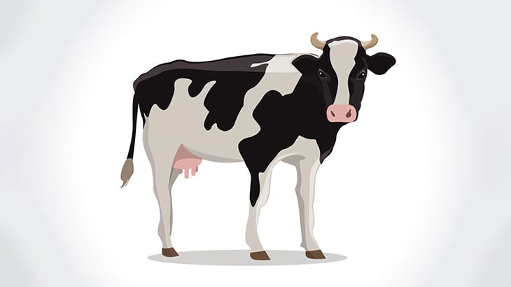 農家「牛のデキモノ潰すよ！」→ 量が人間の比じゃない･･･（動画）