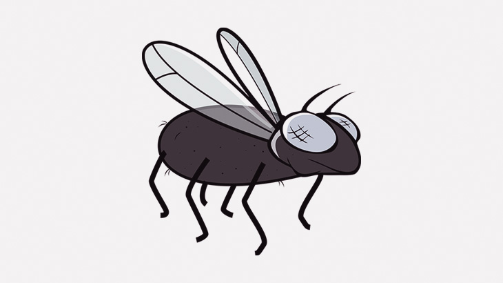 ハエの首をカミソリ刃で切断して遊ぶ男（動画）