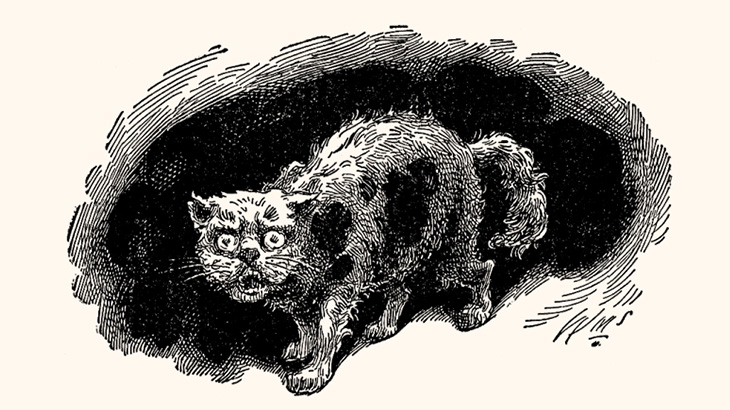 ユーチューバーの男、猫を虐待する映像を投稿してしまう（動画）