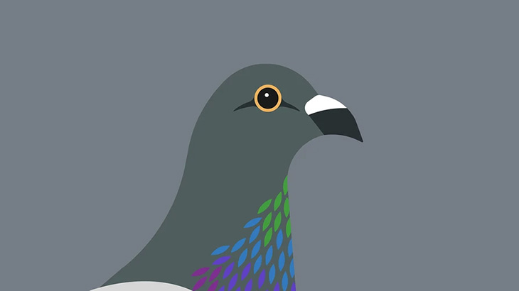 【閲覧注意】イカレ中国人さん、生きた鳩の頭を噛みちぎって食ってしまう（動画）